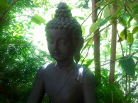 Frage über Alleinsein im Sterben