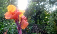 Frage über Marc Aurel - Geh heiter