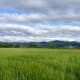 Frage über das Ego im Sterbeprozess