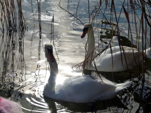 lst das Leben und der Tod das Gleiche?